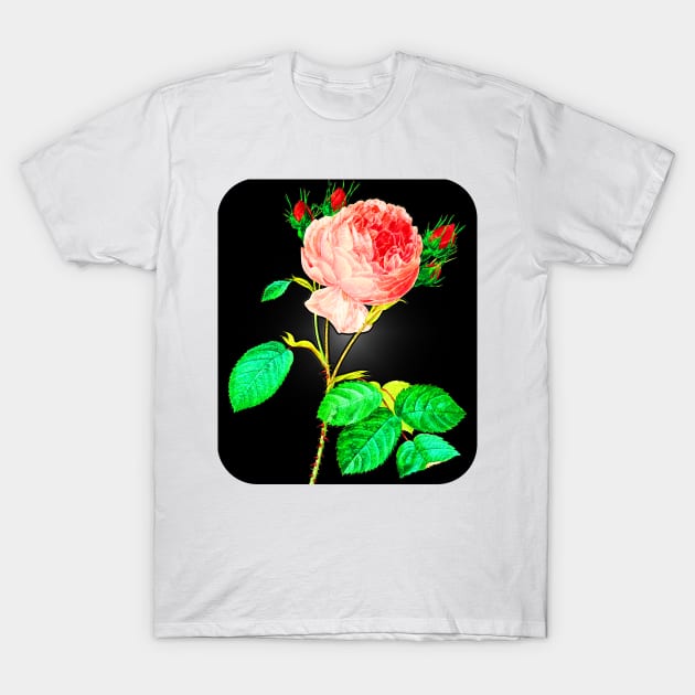 Black Panther Art - Rose Art 3 T-Shirt by The Black Panther